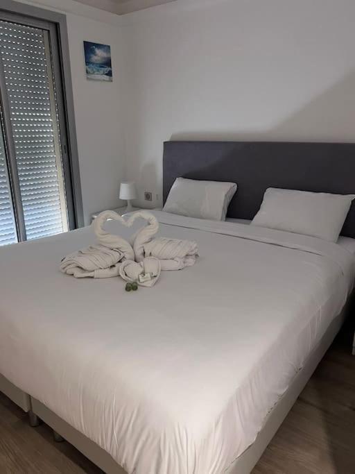 Apartment Le Bijou De Valrose - 4 Bedroom With Pool Nizza
