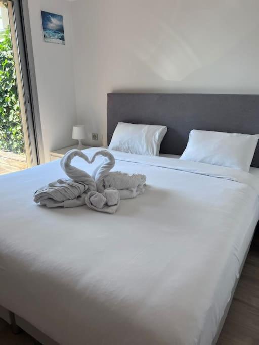 Le Bijou De Valrose - 4 Bedroom With Pool Nizza